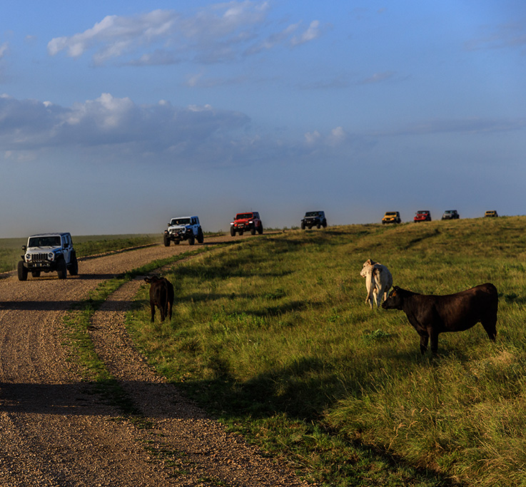 Group Jeeping (283 of 314)